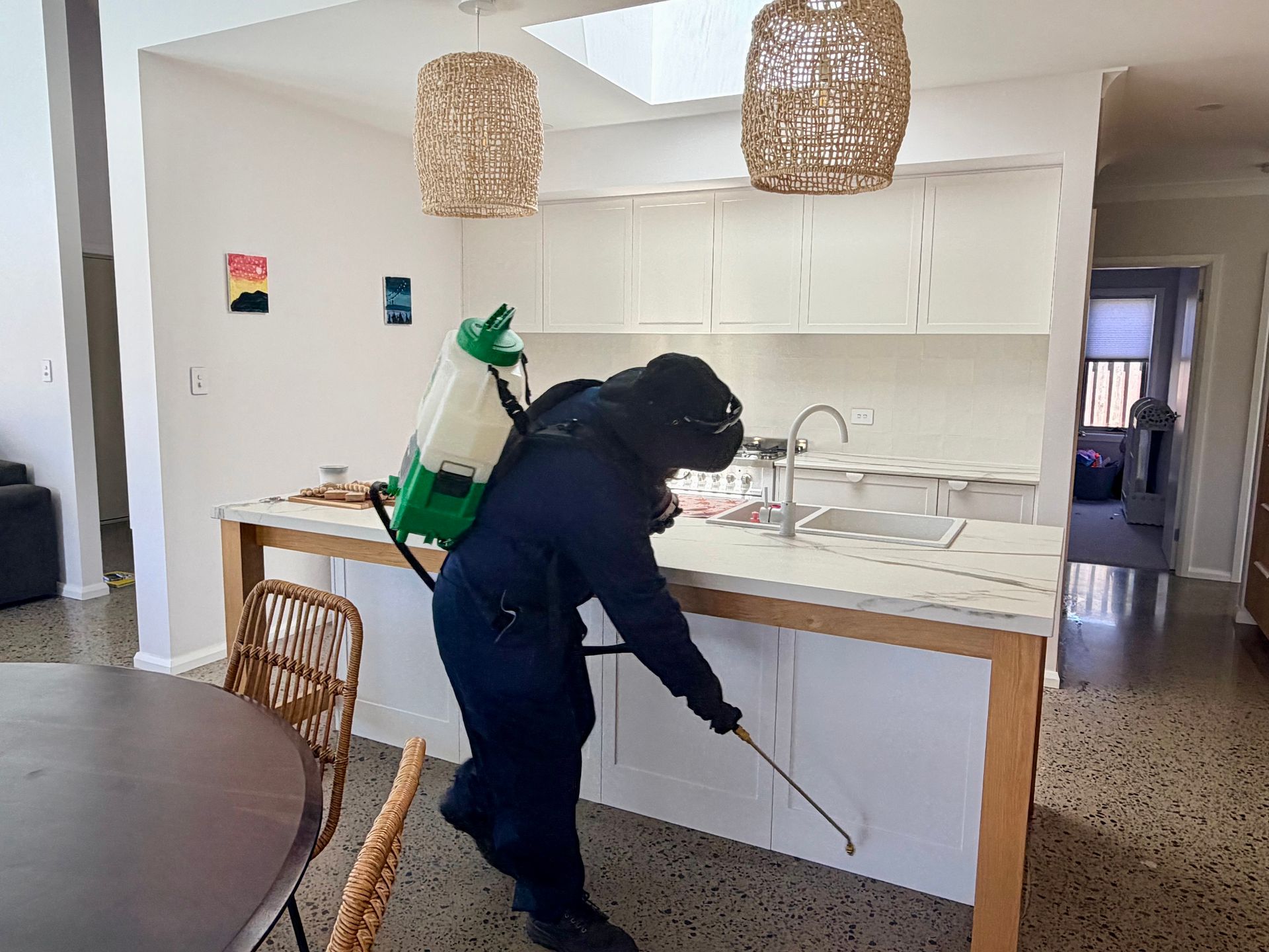 Magnifying Glass Over Wood With Termites, Hand Holding Glass — FUMATEX In Port Macquarie, NSW
