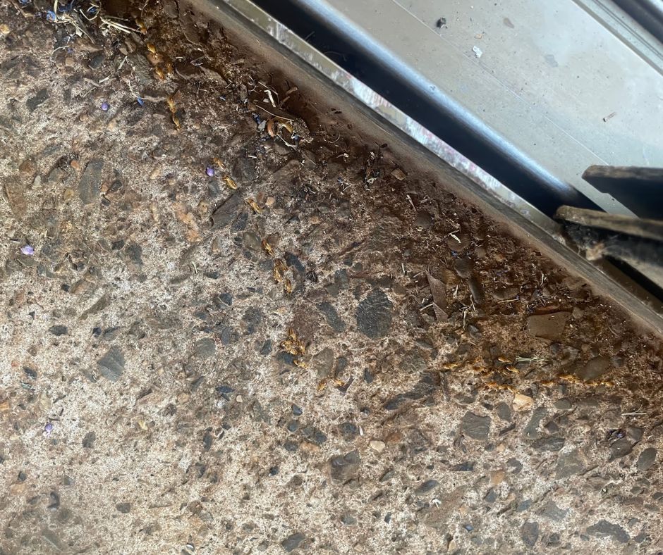 Concrete Floor With Dirt and Debris Near a Sliding Door Track — FUMATEX In Port Macquarie, NSW