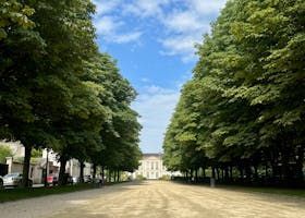 Un chemin bordé d'arbres mène à un bâtiment blanc sous un ciel bleu.