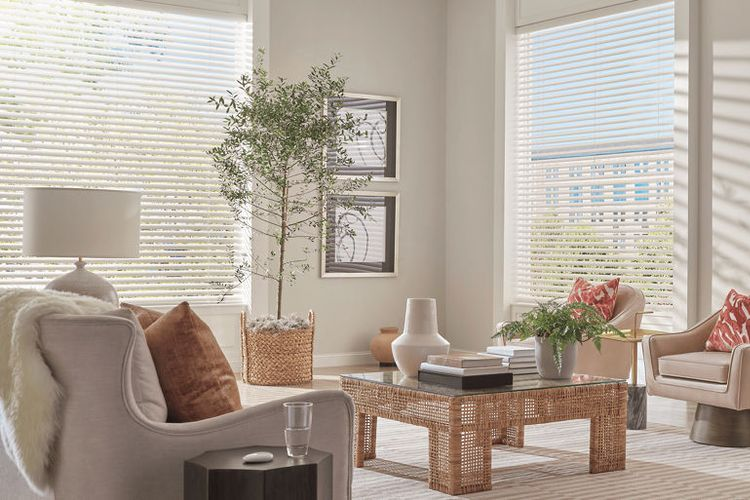 Living room with neutral tones, window blinds, two armchairs, a coffee table, and a potted tree.