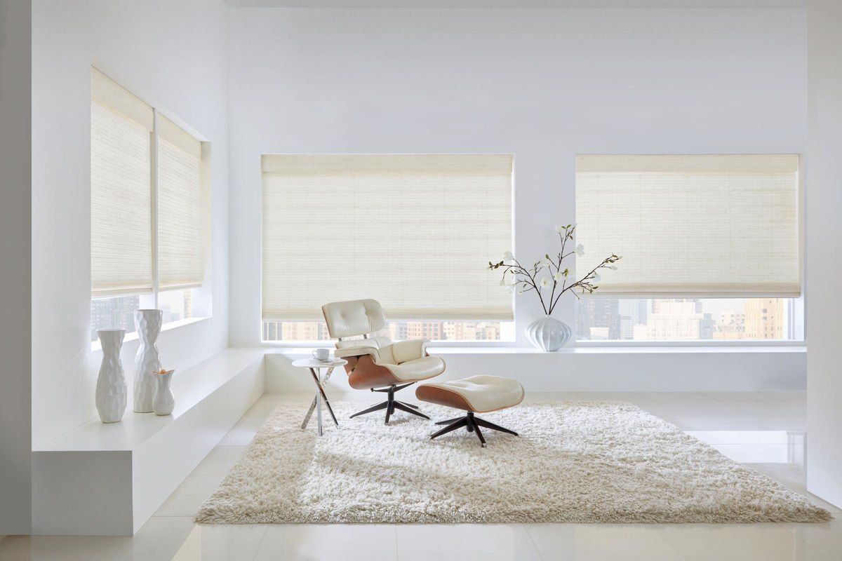 Bright white living room with neutral-toned rug, chair, and cellular shades on windows.