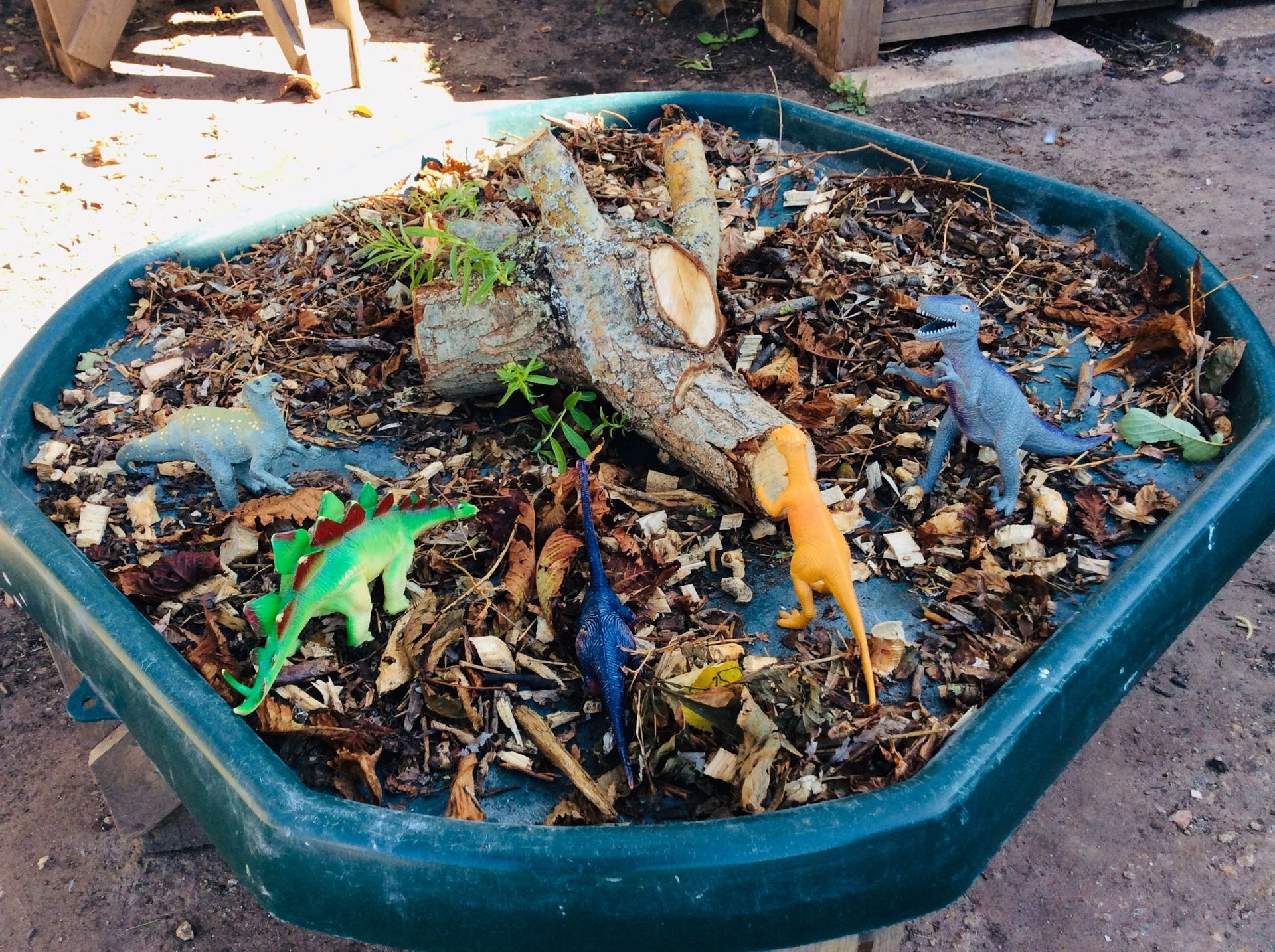 A plastic tray filled with toy dinosaurs and a tree branch.
