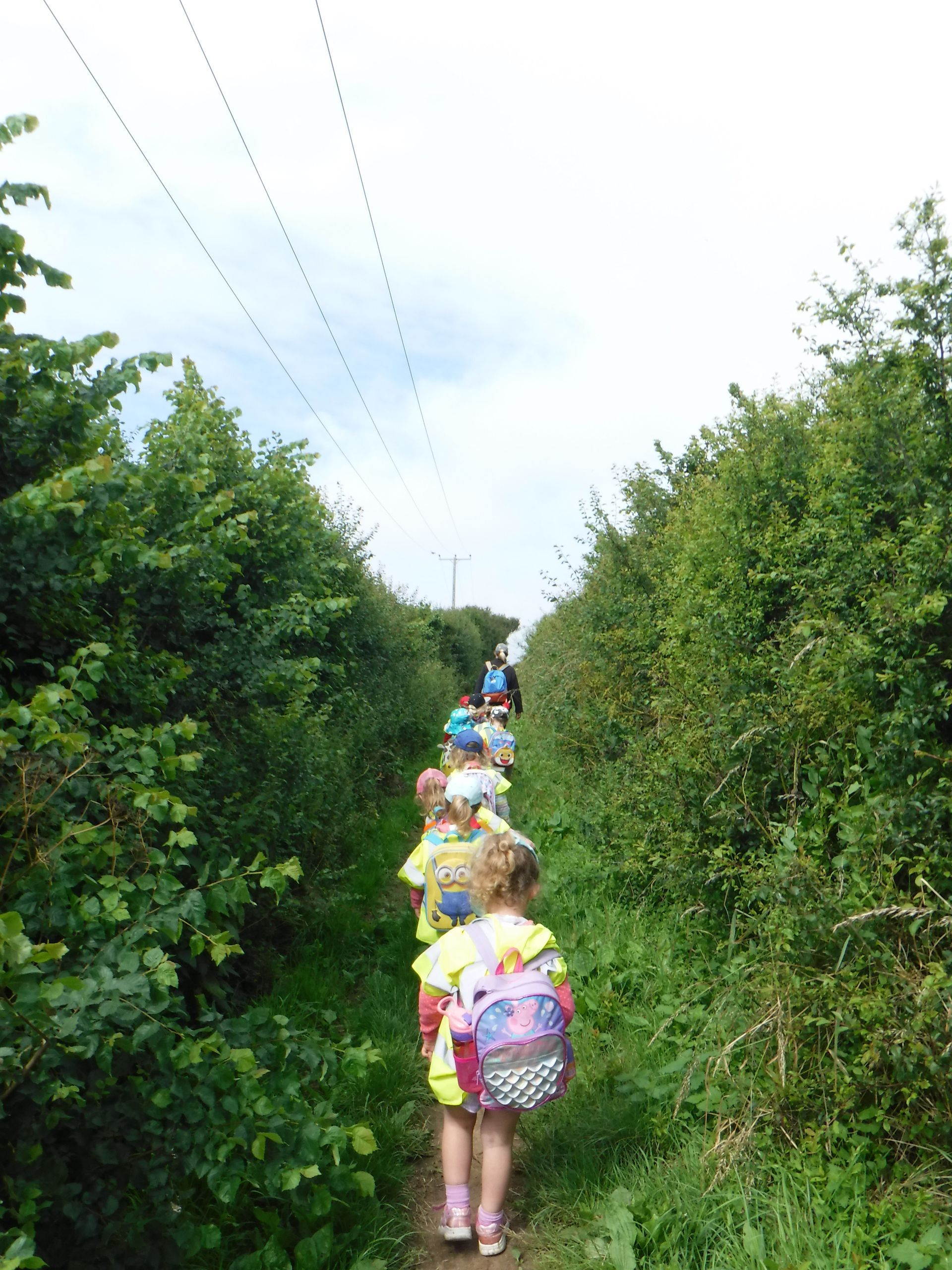 A group of children are walking down a path in the woods.