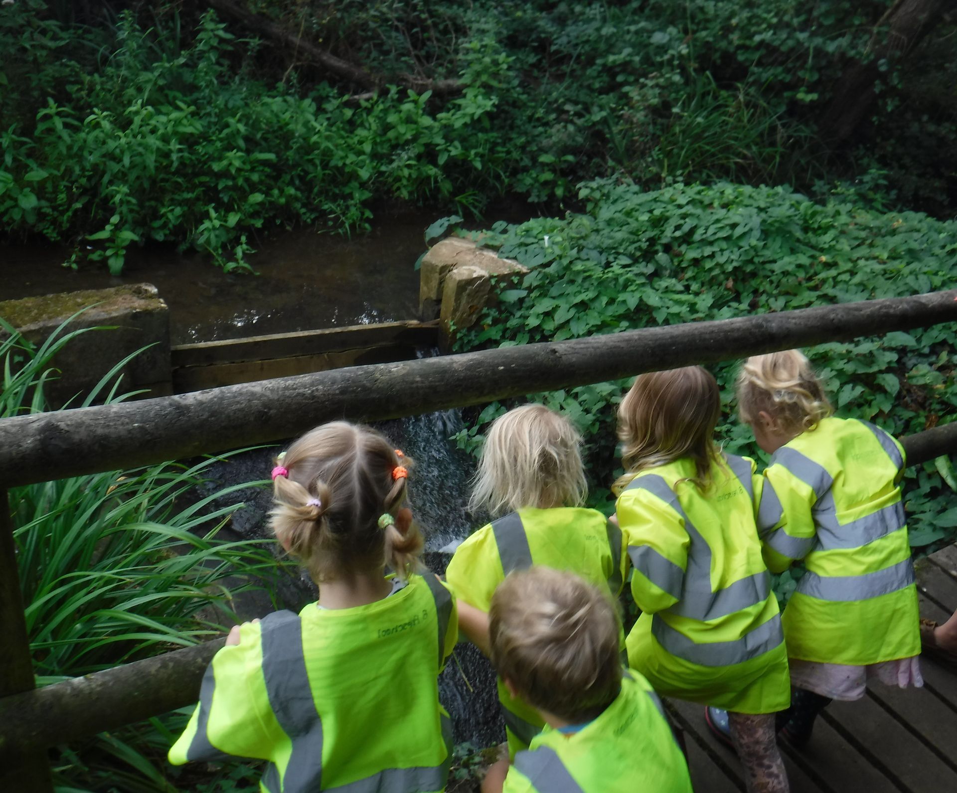 A group of children in yellow vests are looking at a waterfall