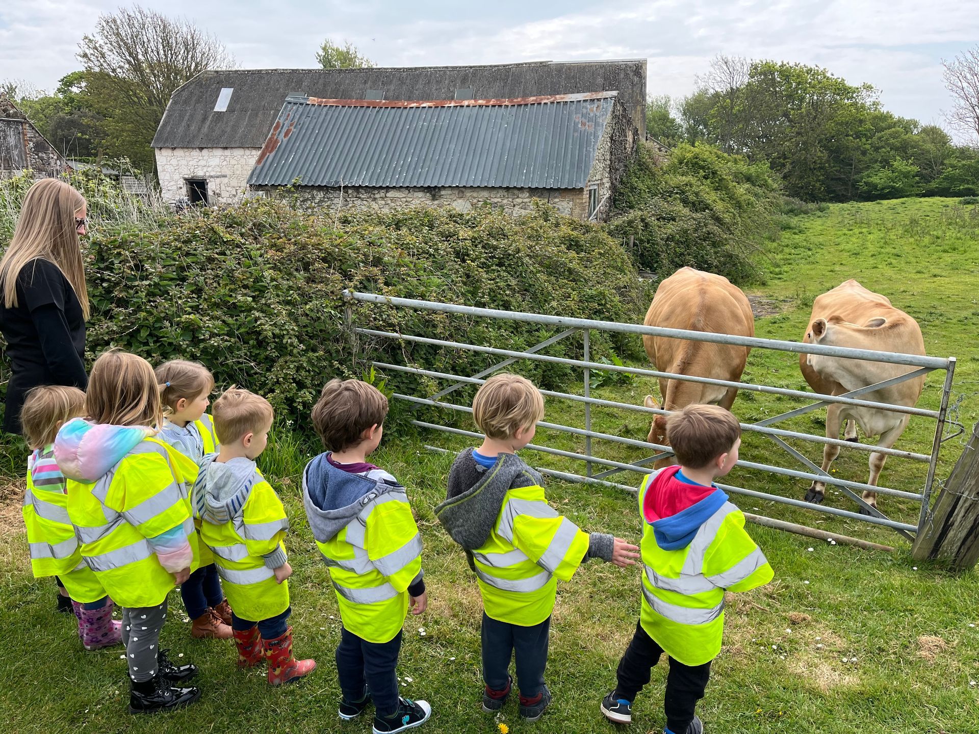 A group of children are standing in a field looking at a cow.