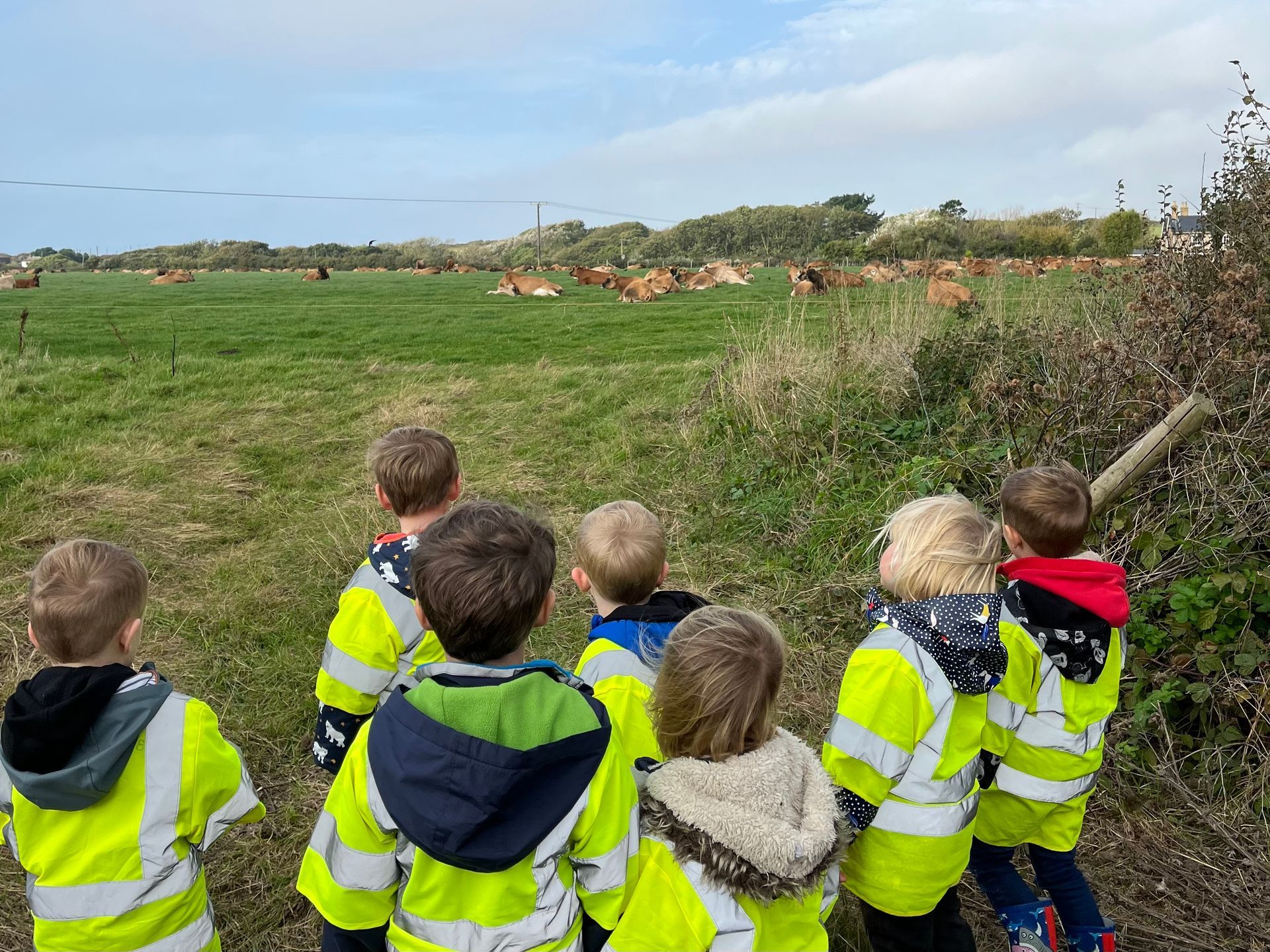 A group of children are standing in a field looking at deer.
