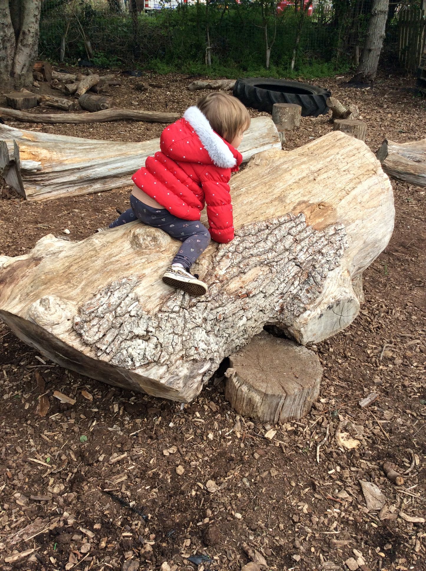 A little girl is sitting on a log in the woods.