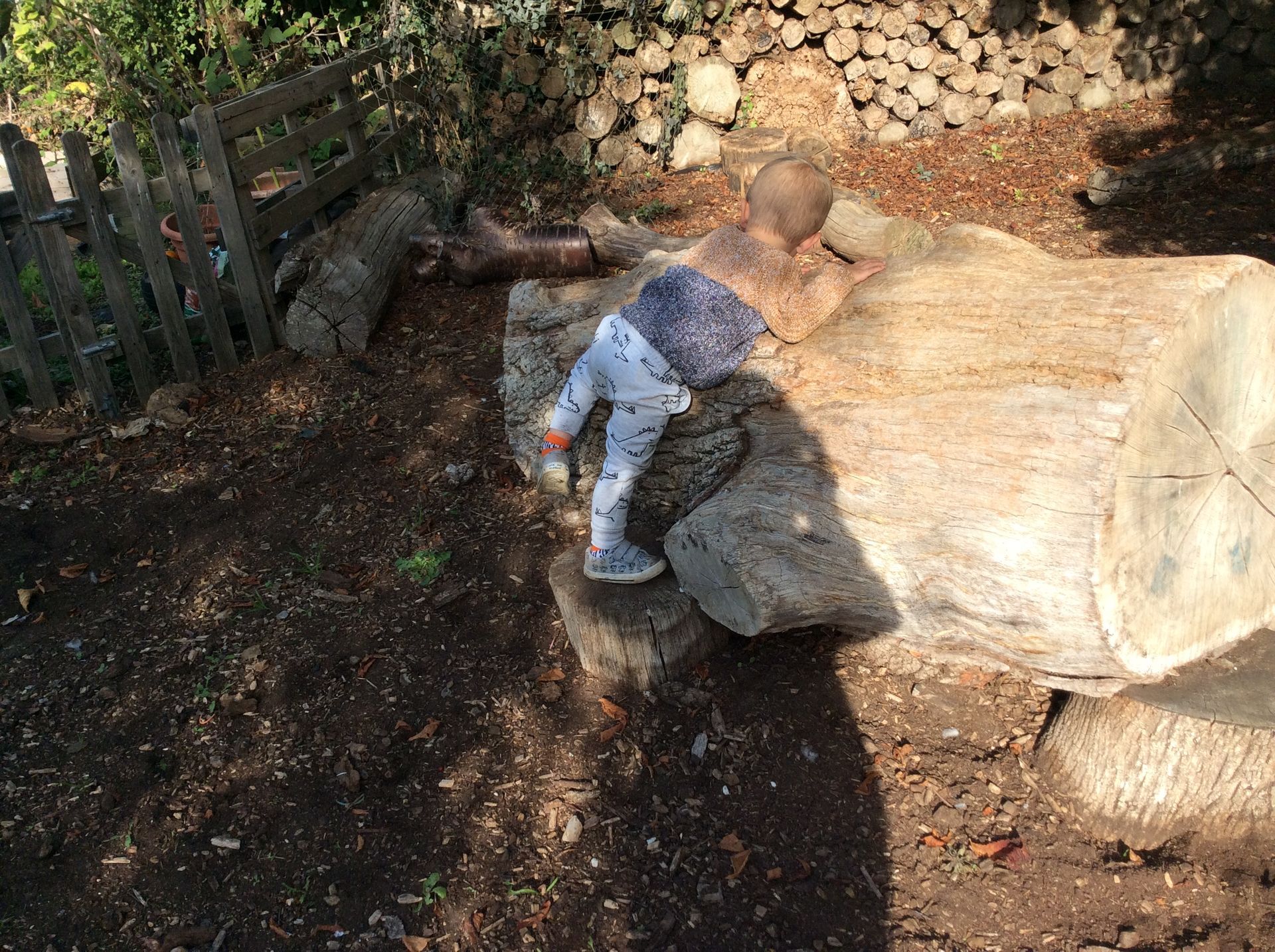 A little girl is climbing on a large rock.