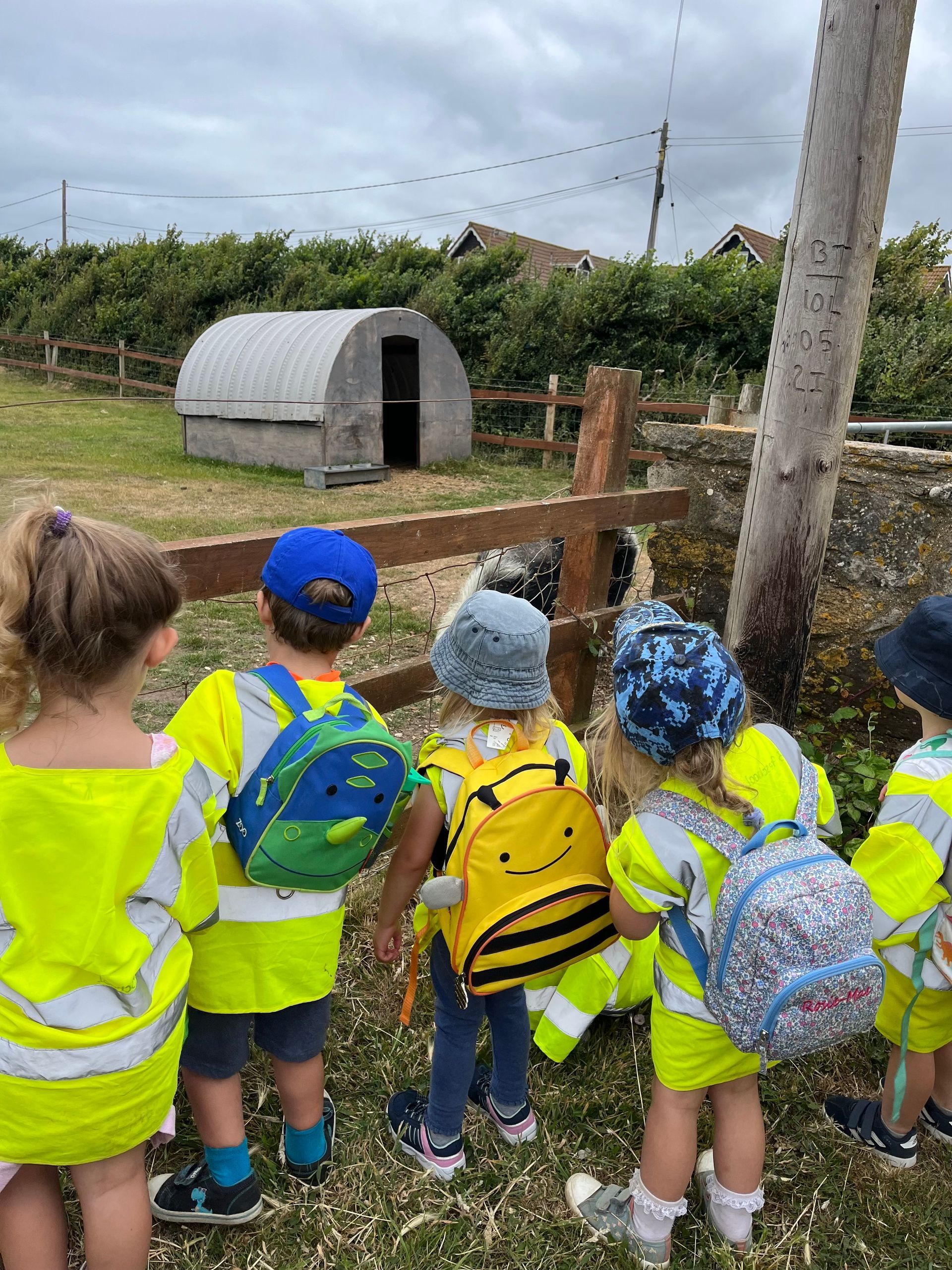 A group of children are standing in a field looking at a sheep.