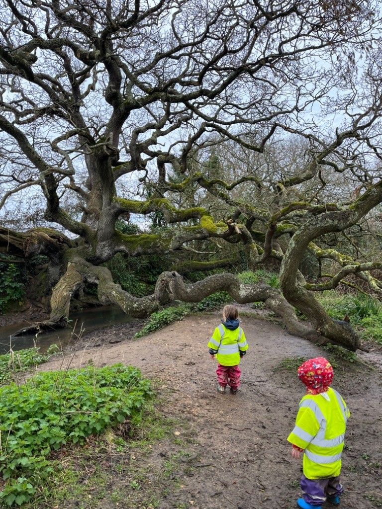 Two children are standing under a tree in a park.