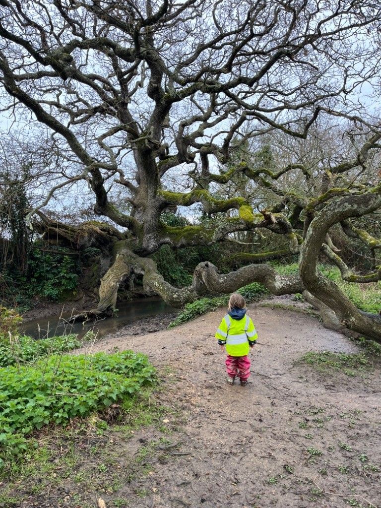 A little boy is standing under a tree in a park.