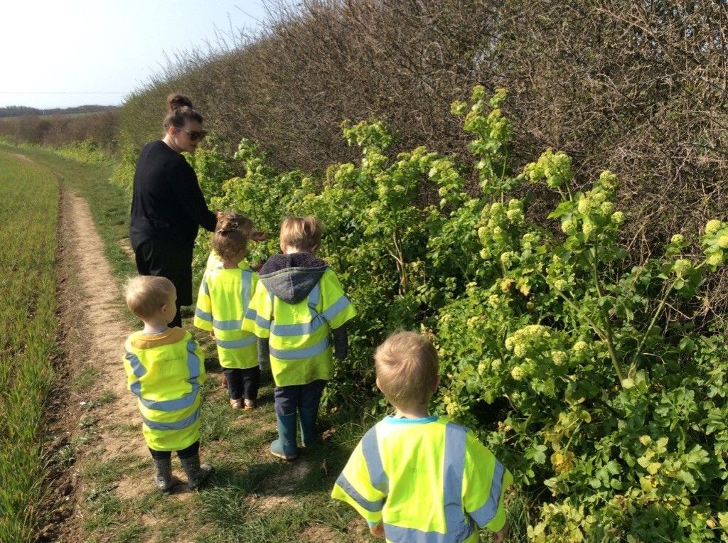 A group of children are walking down a path next to a bush.