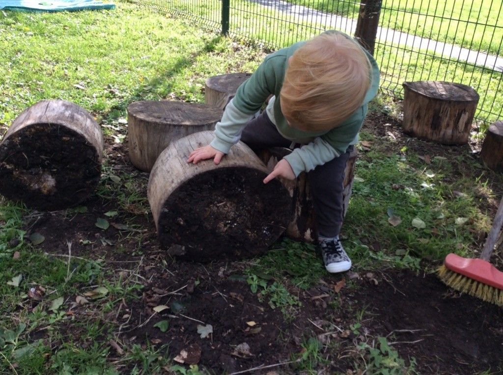 A little boy is playing with a log in the dirt.