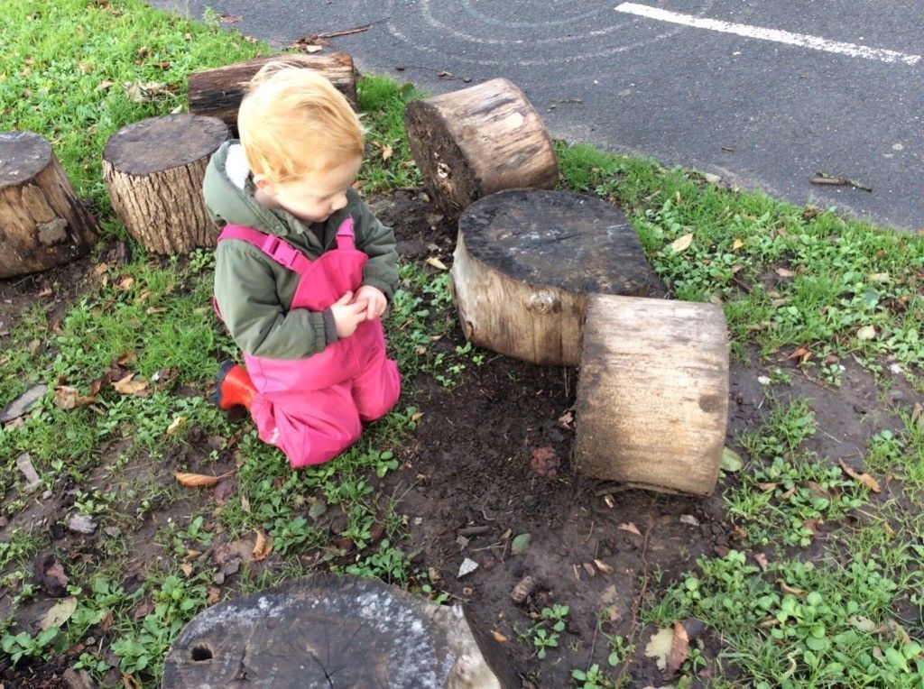 A little girl is kneeling down in the grass next to a tree stump.