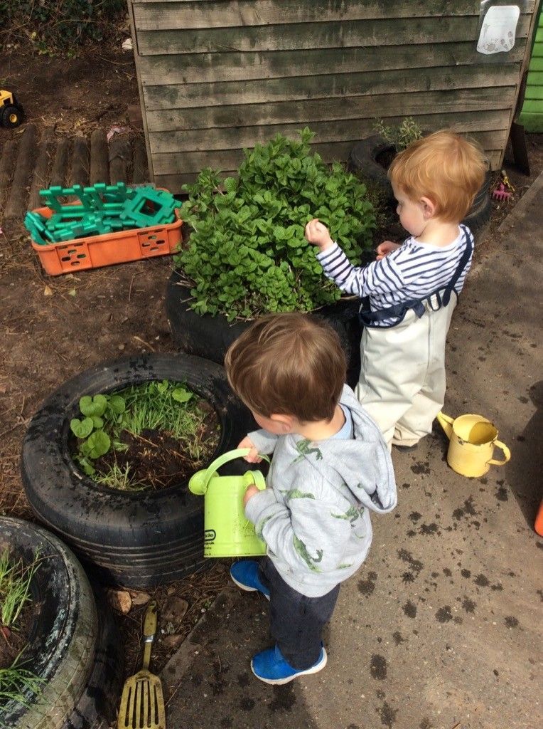 Two young boys are watering plants in a garden.