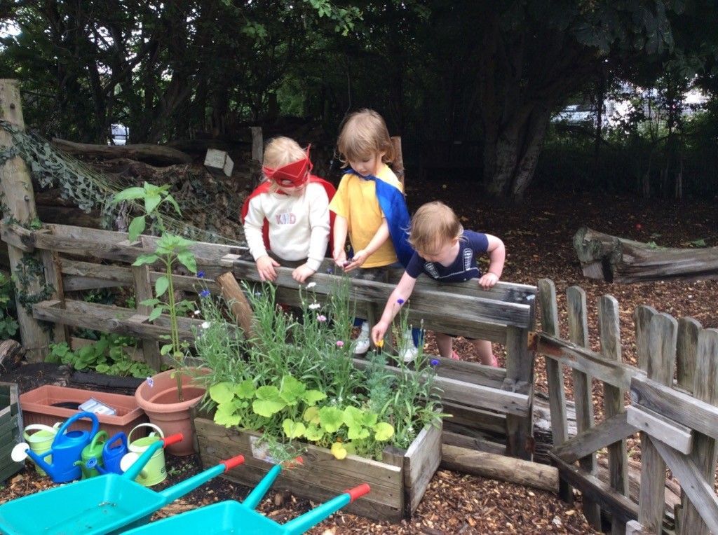 Three children are playing in a garden with a wooden fence.