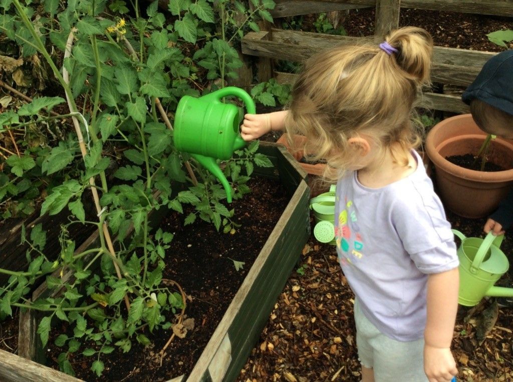 A little girl is watering plants in a garden with a green watering can.