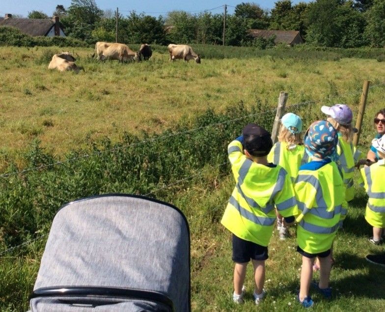 A group of children are standing in a field looking at cows.