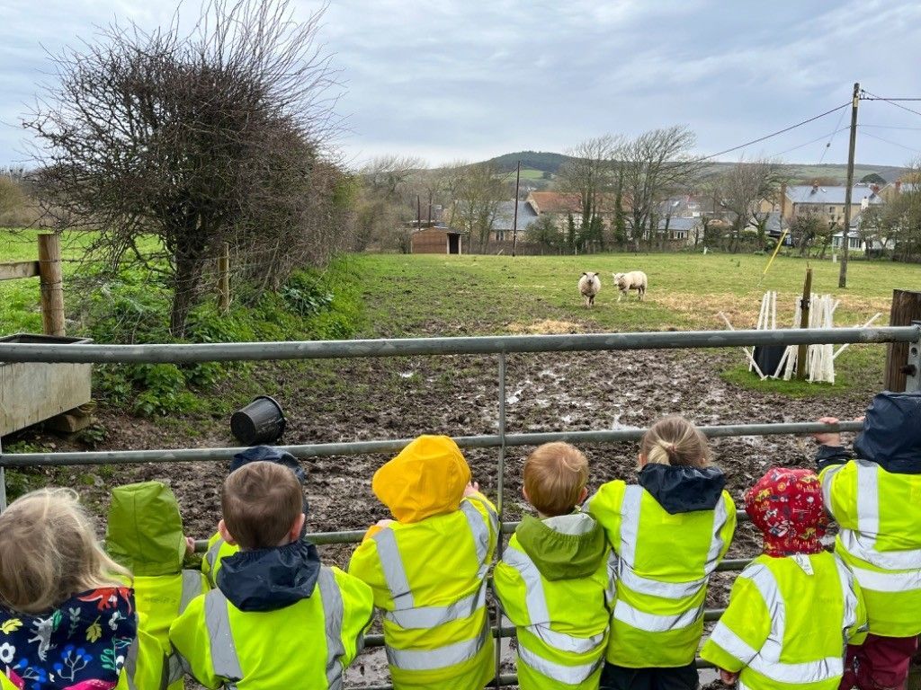 A group of children are standing in front of a fence looking at sheep in a field.