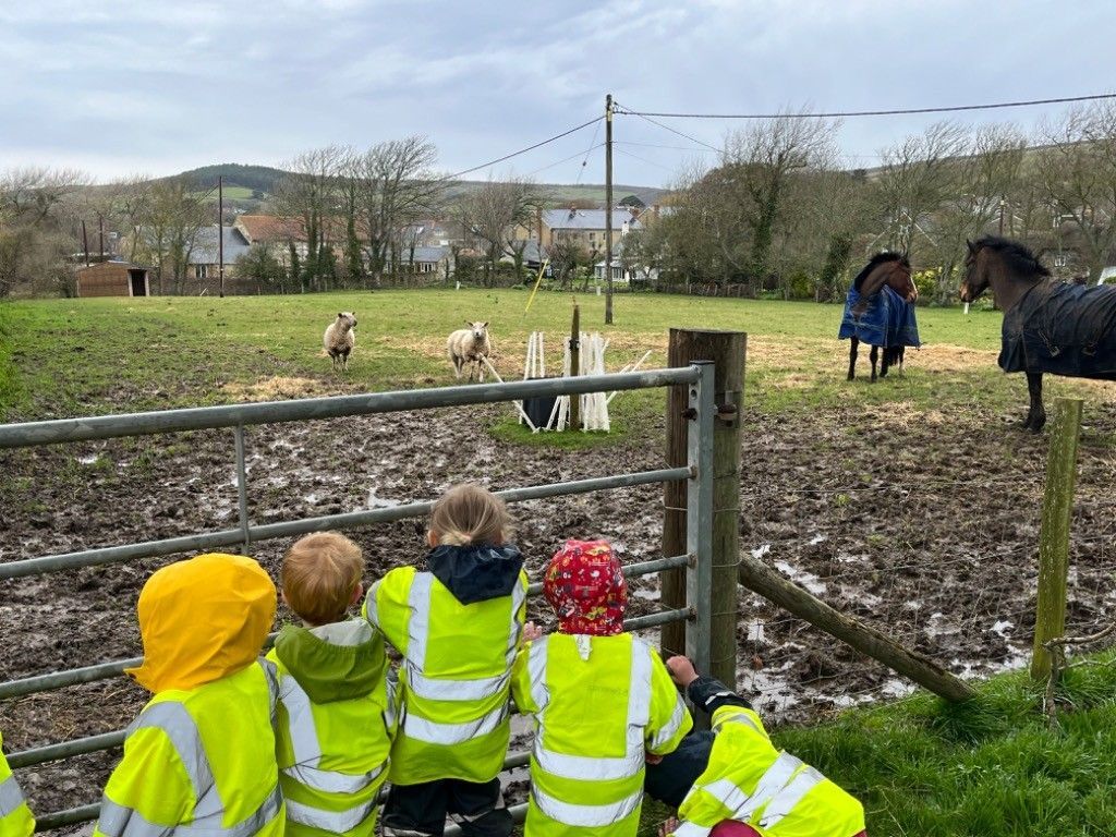 A group of children are looking at a horse in a field.