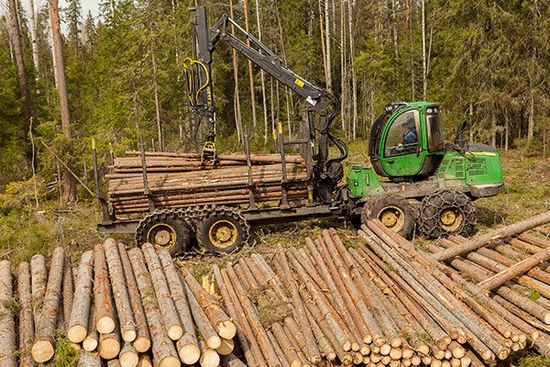 Abbattimenti forestali e vendita al dettaglio legna da ardere