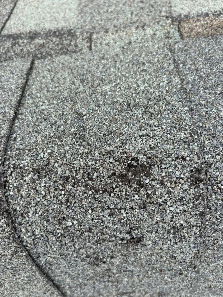 Close-up of asphalt shingles on a roof showing a circular area of missing granules, indicating hail or impact damage.
