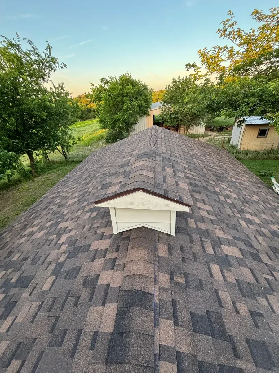 A high-angle view of a roof with brown asphalt shingles and a small, white dormer window, surrounded by green trees.