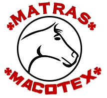 Logo caballo