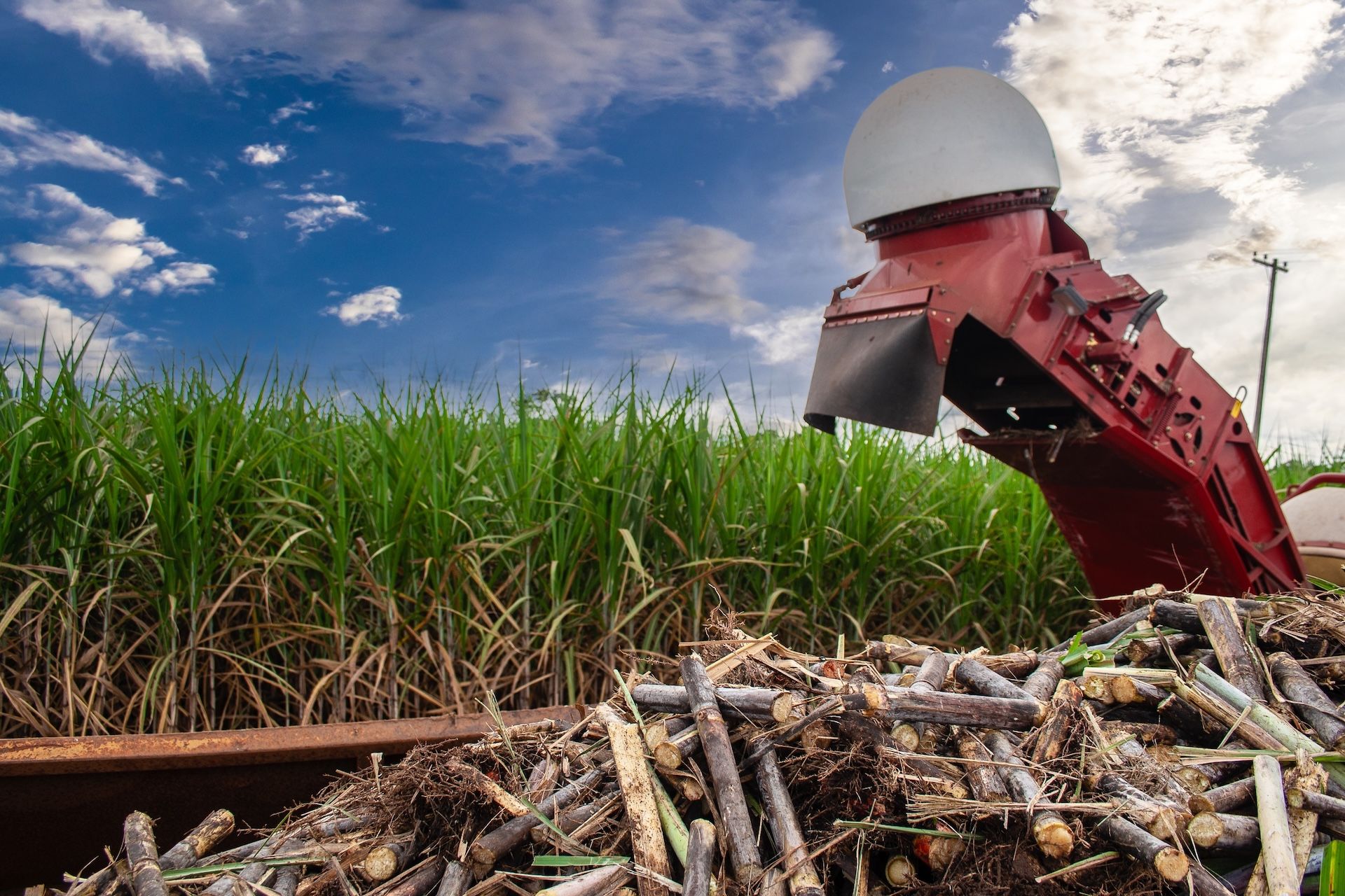 Red Sugarcane Harvester In Field, Harvesting Stalks. Blue Sky With Clouds In The Background — North Queensland Hard Facing (NQHF) In Fredericksfield, QLD