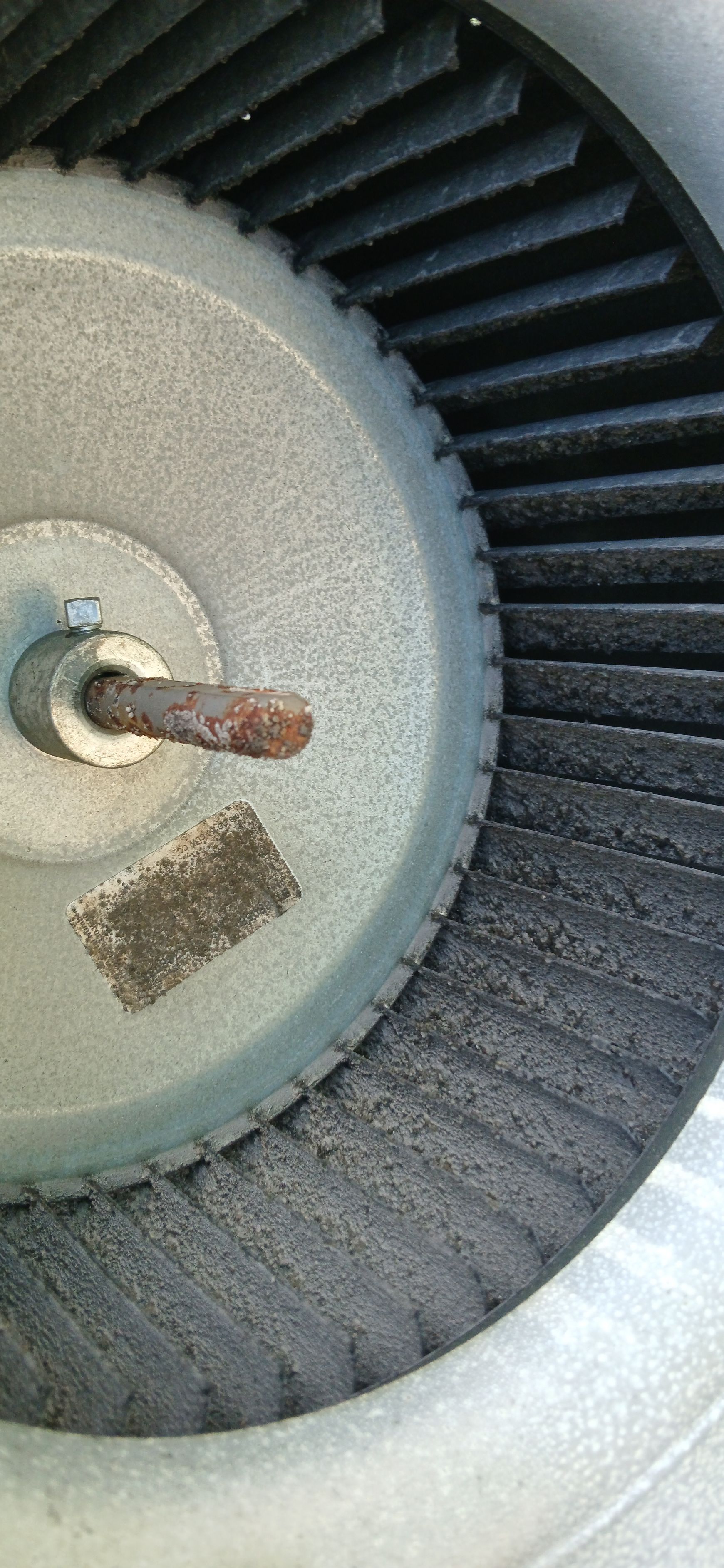 A rusted metal shaft centered on a dusty, grey centrifugal blower fan wheel with many small, angled blades.