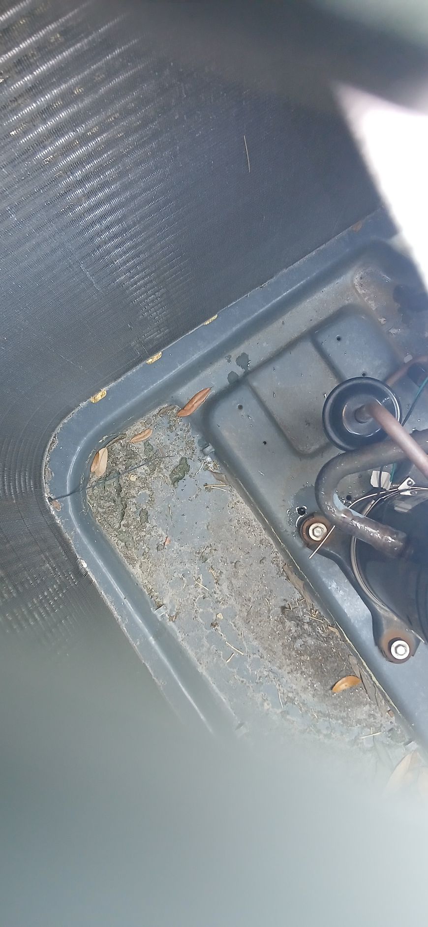Top-down view of a dirty gray HVAC drain pan showing standing water, debris, and copper refrigerant lines.