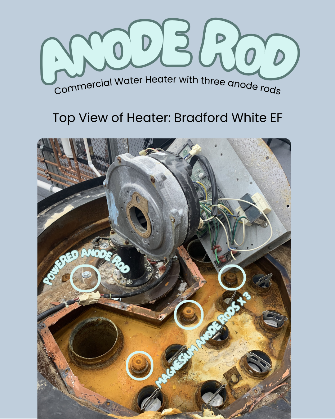 Photo of top of Bradford White EF Unit show location of anode rods