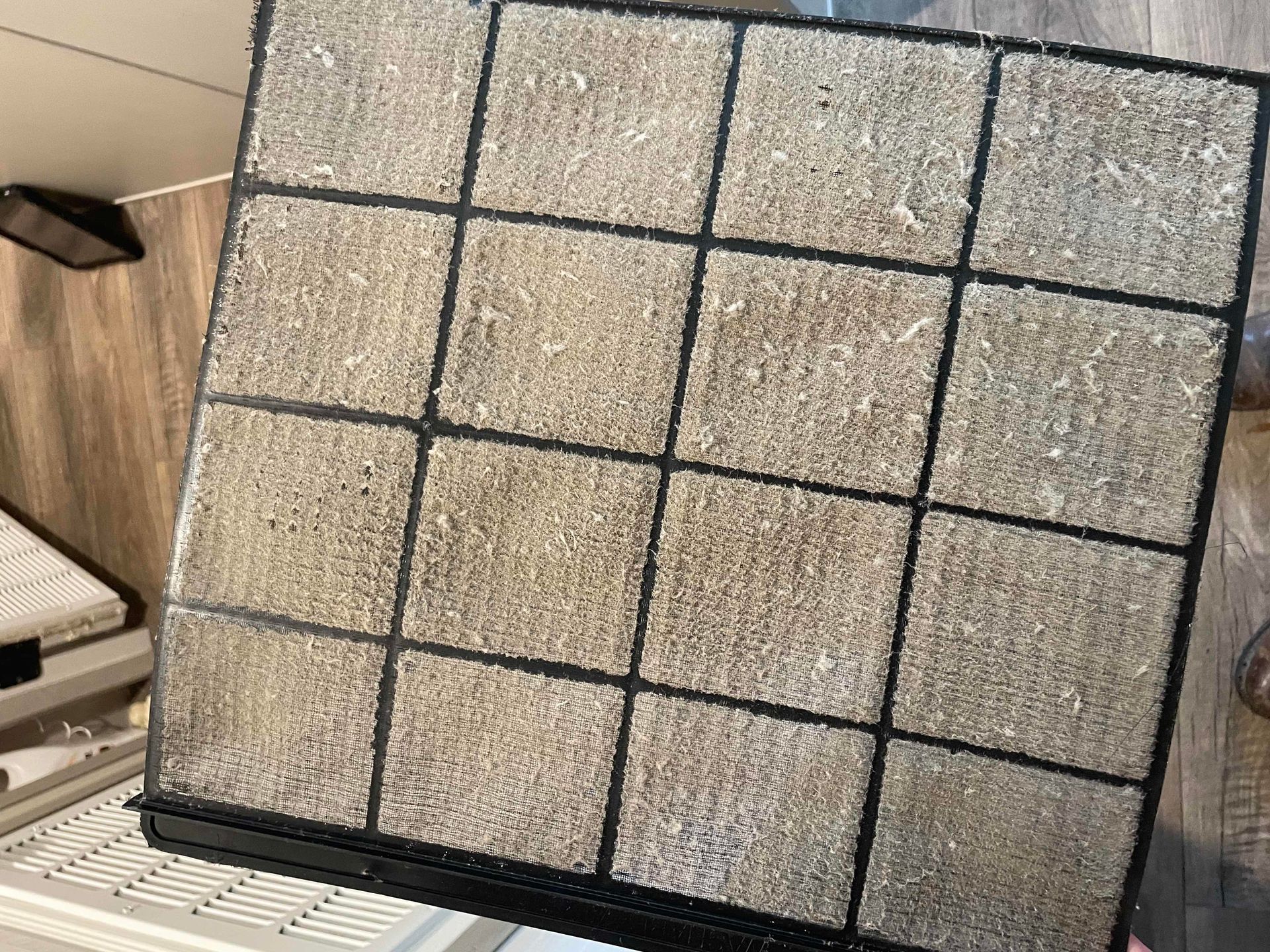Extremely dirty hybrid heat pump water heater filter