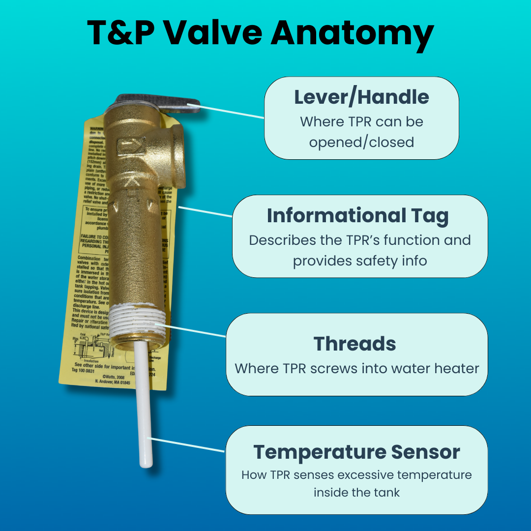 T&P Valve Anatomy - Side View