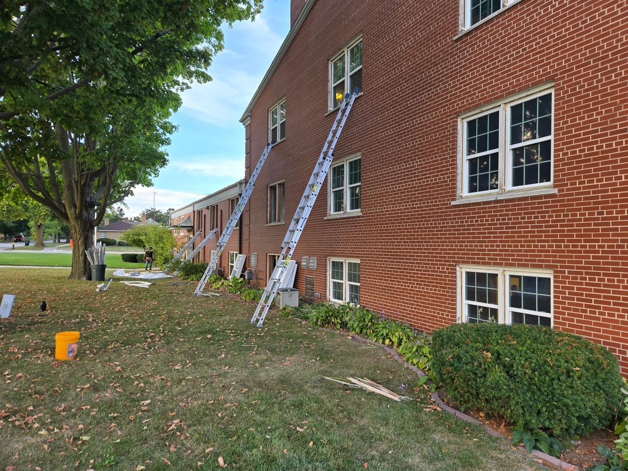 Two ladders leaning against a brick building with several windows. Green lawn and bush in the foreground.