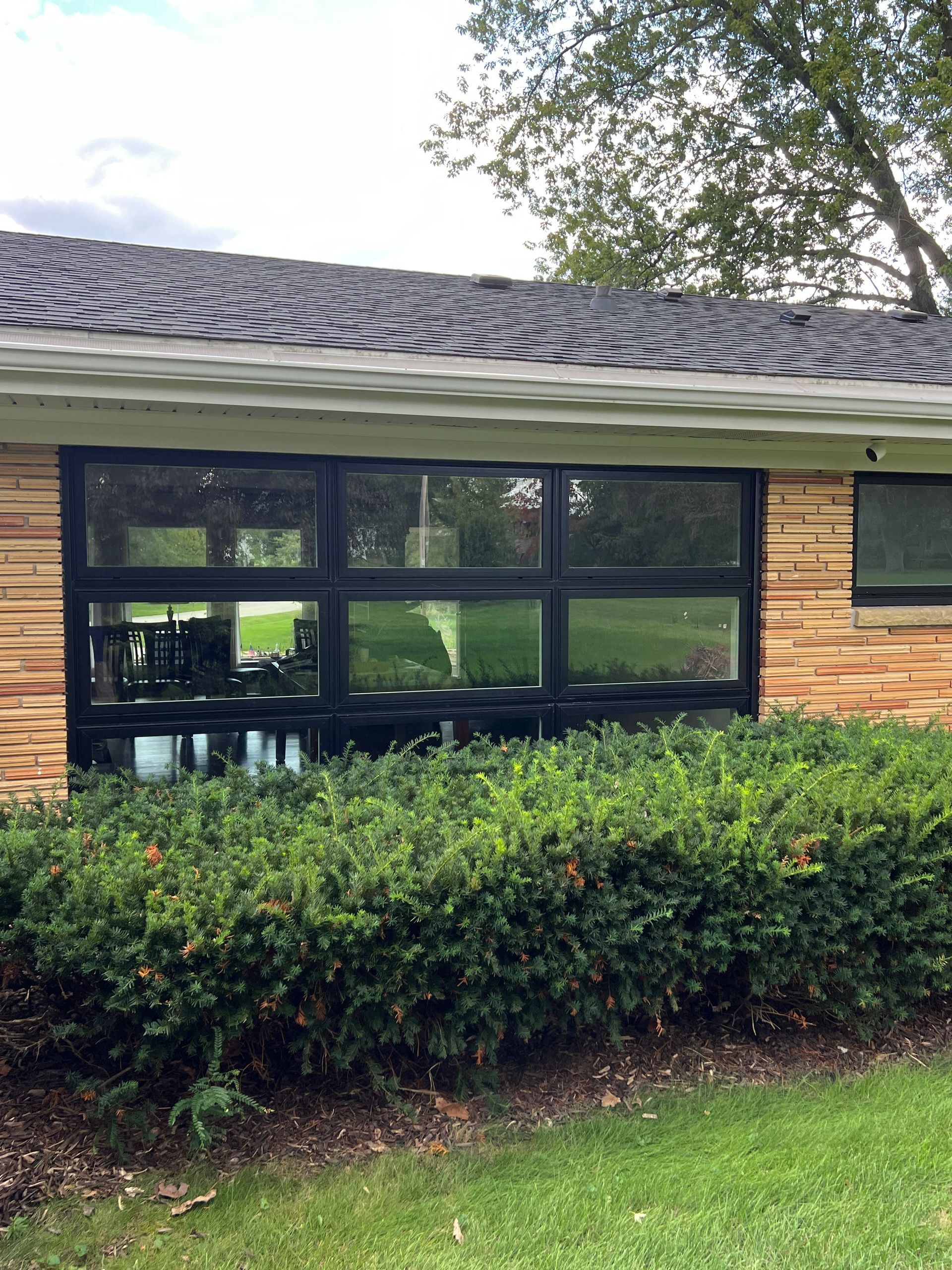 Black-framed window in a brick house, reflecting a yard and greenery.
