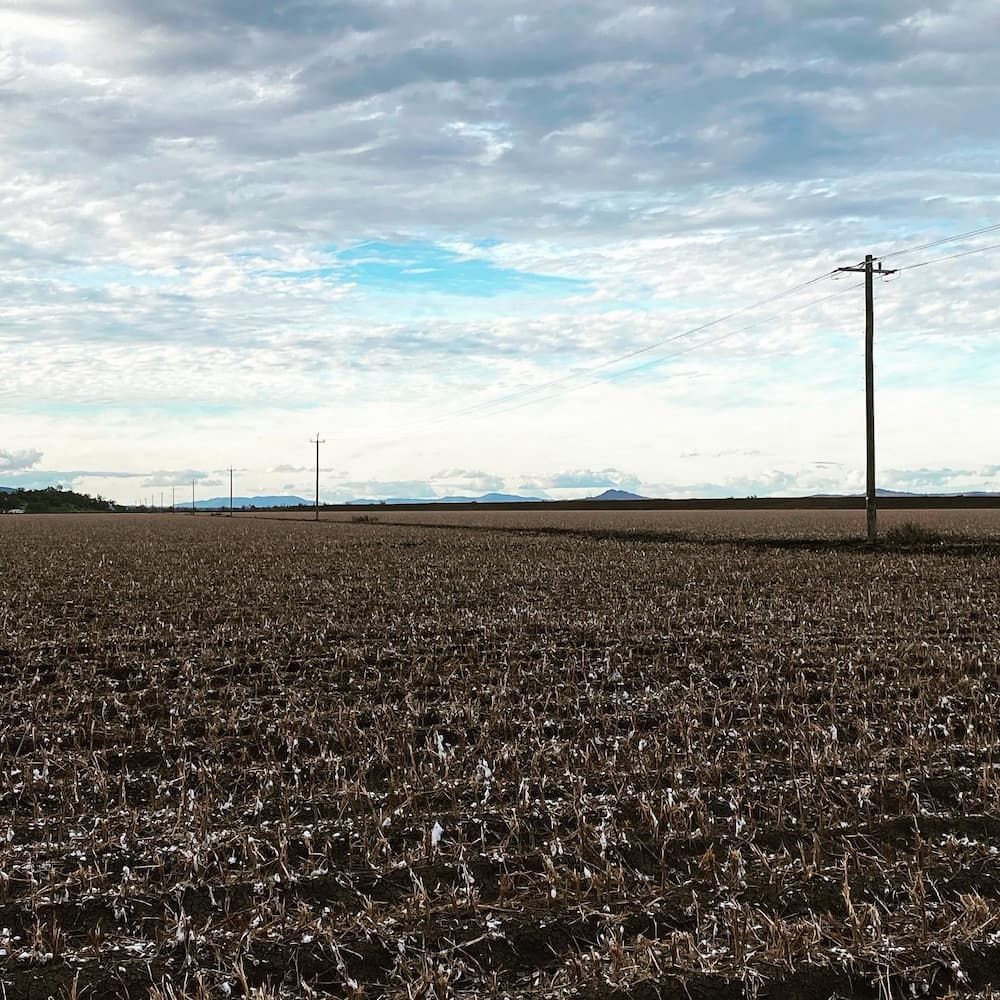Brown Field Under a Cloudy Sky With Utility Poles in the Distance — Central West Power Construction in Orange, NSW