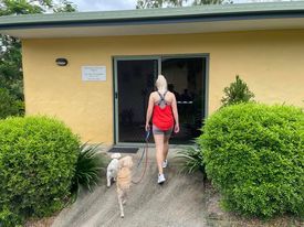 Woman Walking With Two Dogs — Whitsunday Veterinary Surgery In Sugarloaf QLD