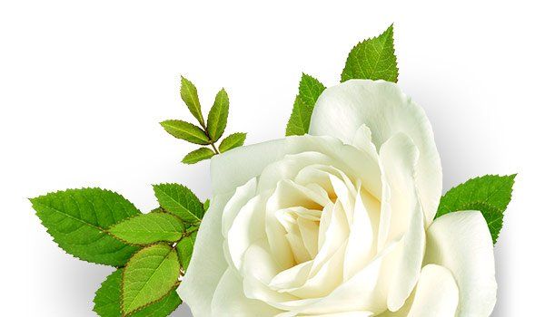 Funeral Home Reviews White Rose
