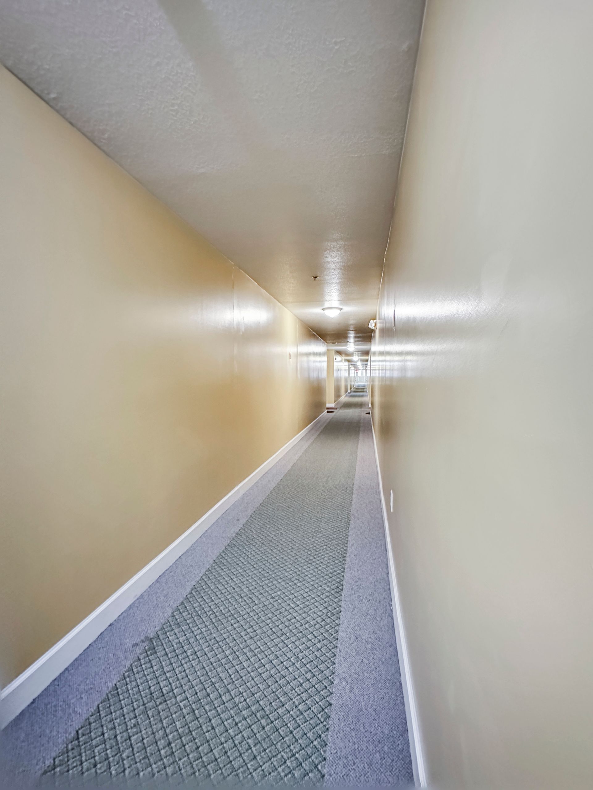 A long hallway with a carpeted floor and white walls.