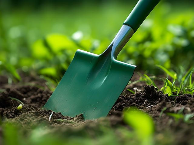 A green garden shovel is inserted into dark, rich soil in a field with blurred green plants in the background.