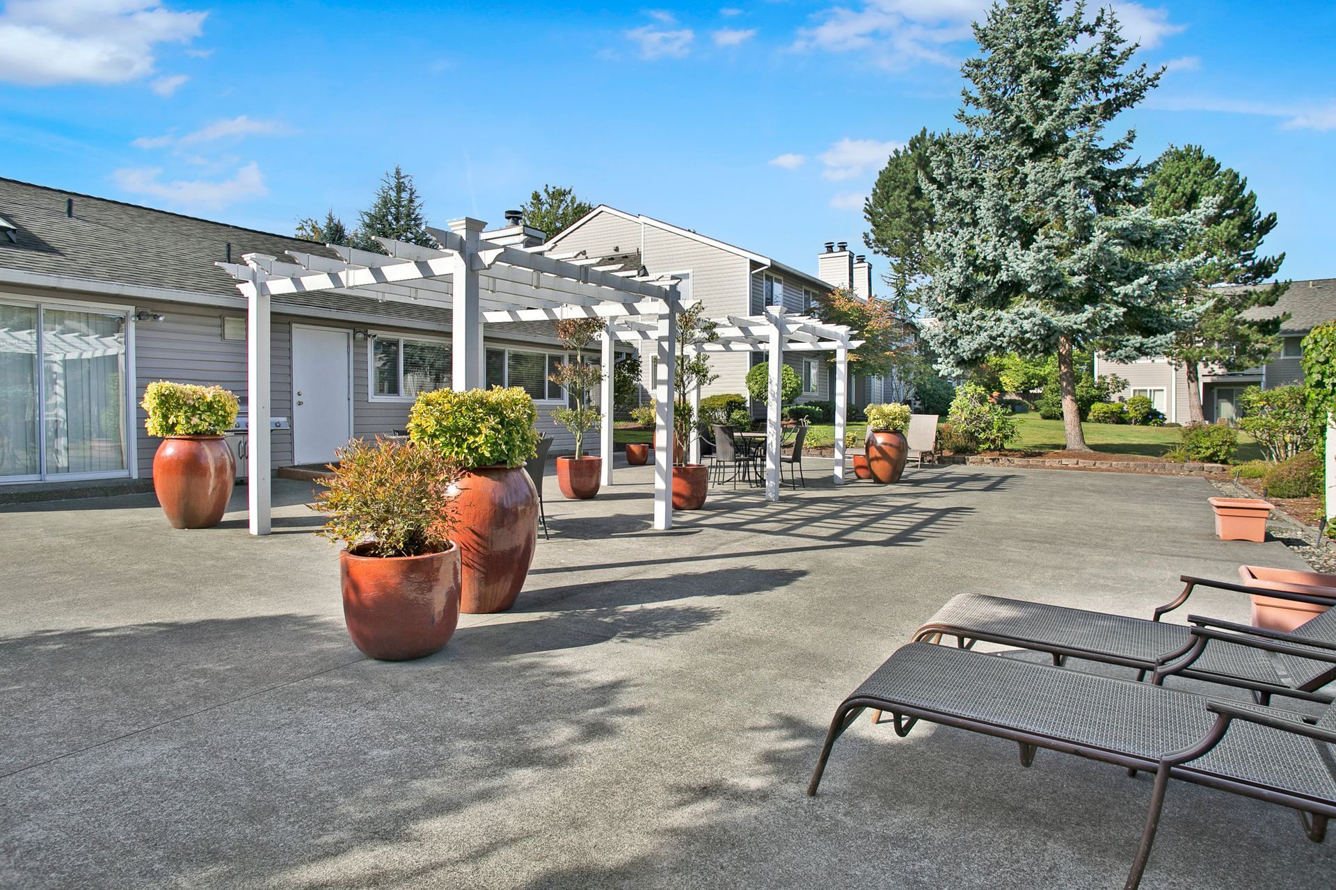 A patio with chairs and potted plants in front of a house.