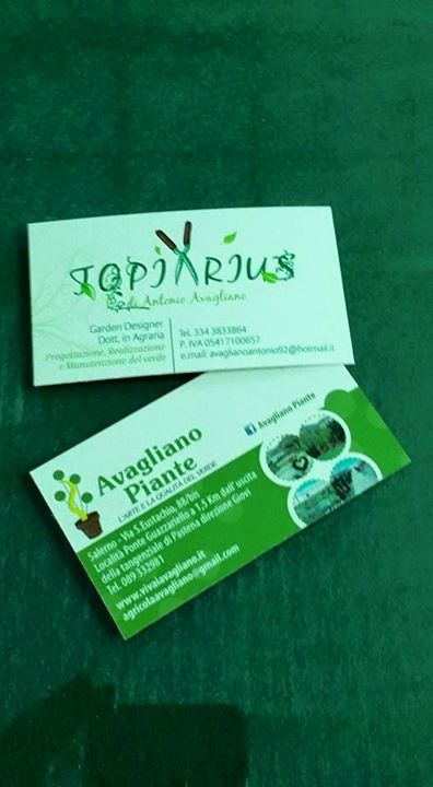 biglietto da visita del vivaio