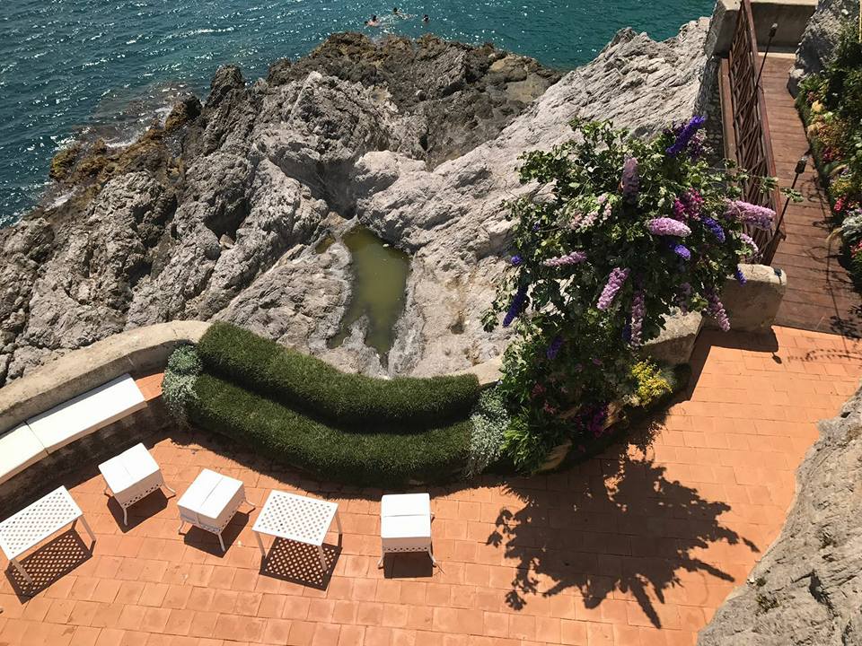 piante e allestimenti verdi per giardino