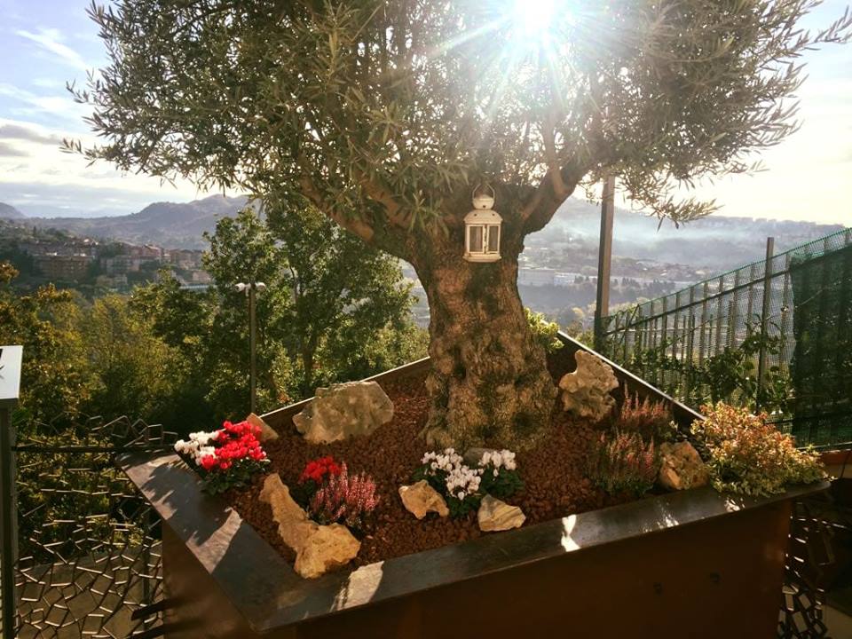 angolo di un giardino