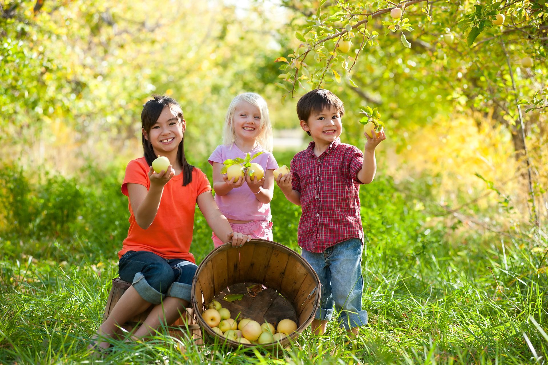 Group of three children holding up green apples from a large basket of apples