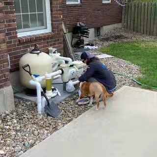 Person fixing pool equipment; brown dog watches. Outdoors near brick wall and concrete patio.