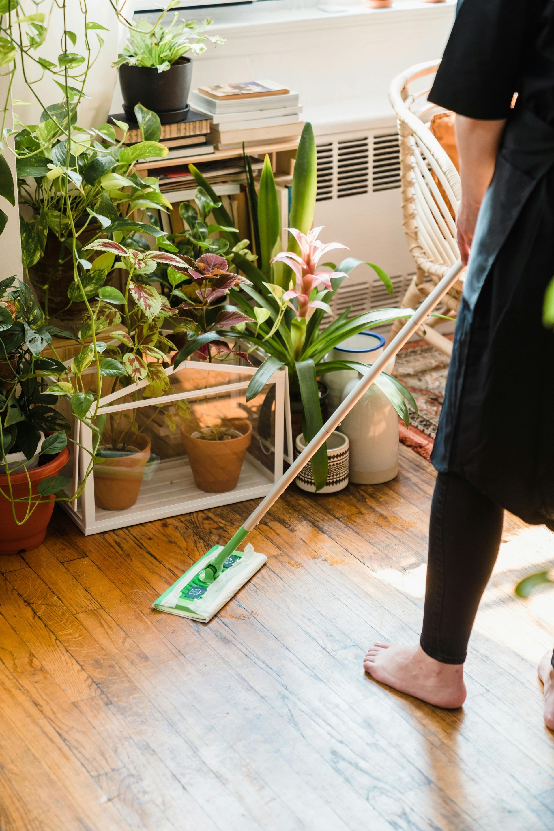P&P Cleaning spring cleaning