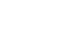 Sue Ann Logo