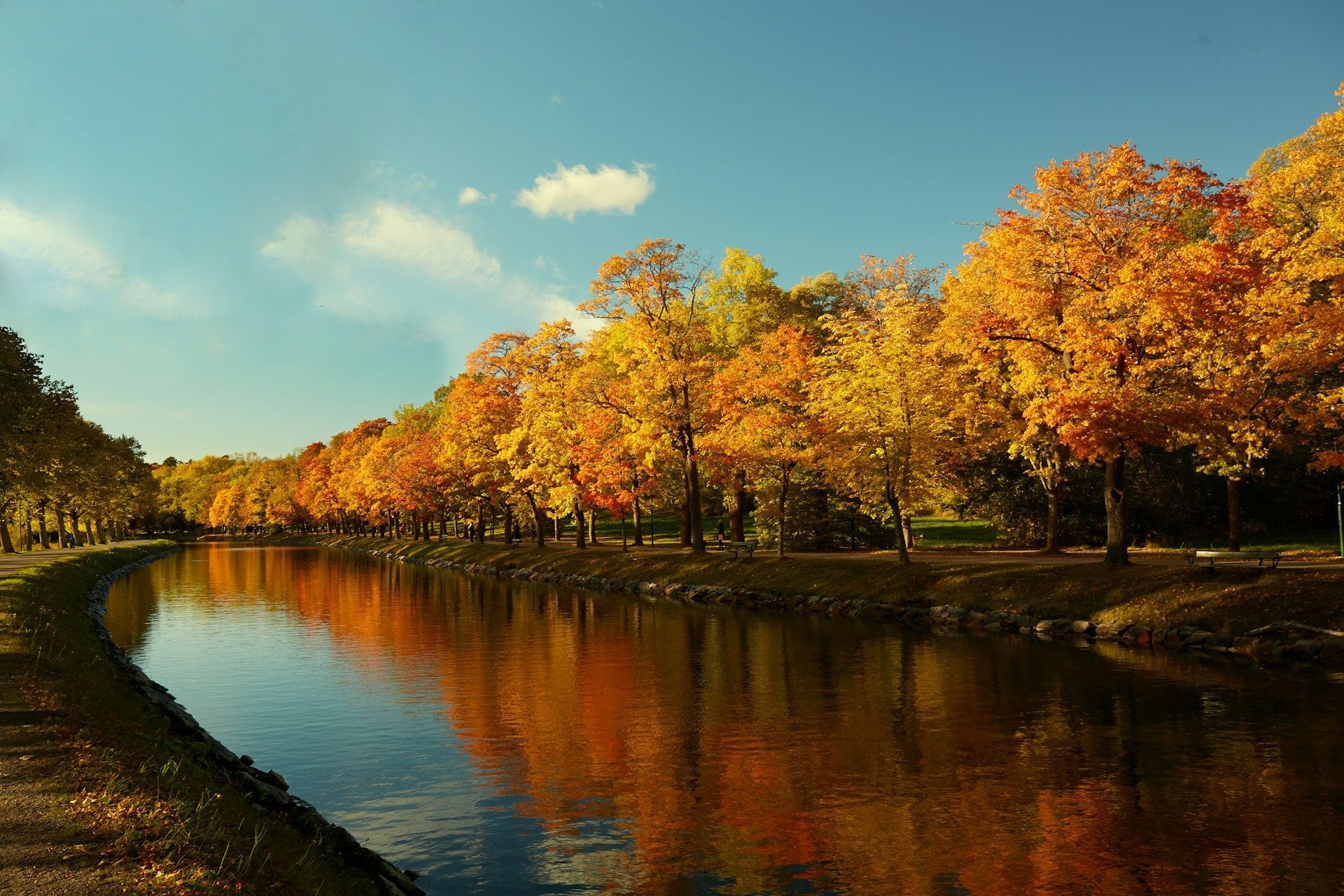 Golden autumn trees line the bank of the calm canal of Djurgården in Stockholm.